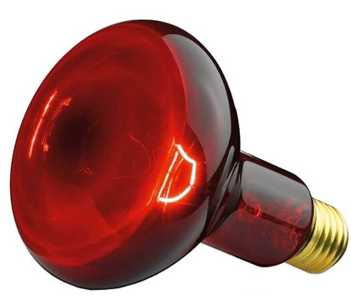 BEURER Glühbirne Infrarotlicht 100W